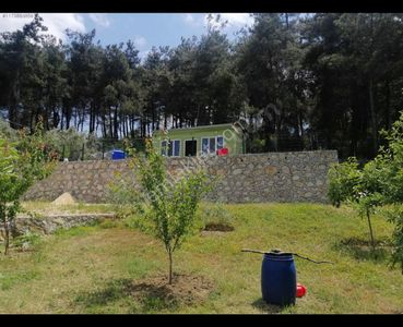 Arsa-Tarla