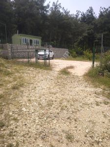 Arsa-Tarla