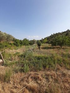 Arsa-Tarla
