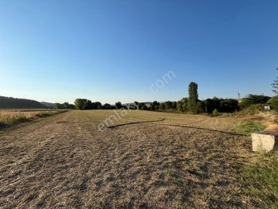 Arsa-Tarla