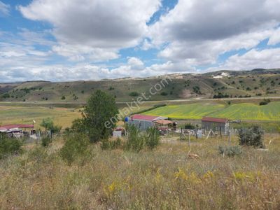 Arsa-Tarla