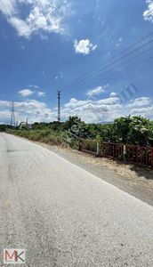 Arsa-Tarla
