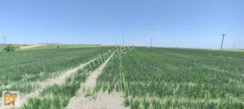 Arsa-Tarla