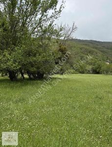 Arsa-Konut İmarlı