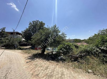 Arsa-Konut İmarlı