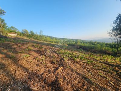Arsa-Bağ & Bahçe