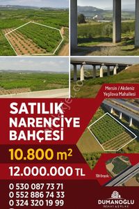 Arsa-Bağ & Bahçe