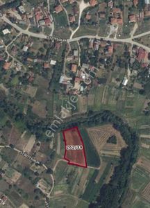 Arsa-Tarla