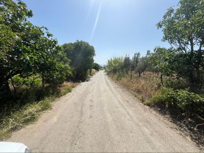 Arsa-Tarla