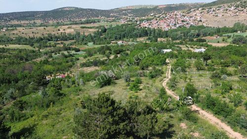 Arsa-Tarla