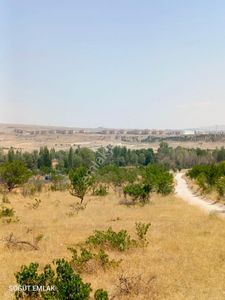 Arsa-Tarla