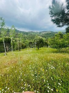 Arsa-Tarla