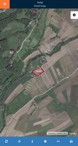 Arsa-Tarla