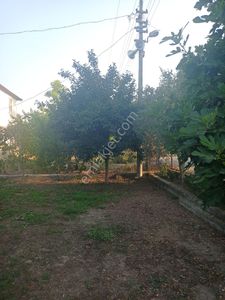 Konut-Köy Evi
