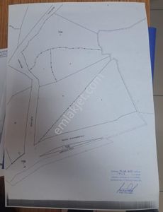 Arsa-Tarla