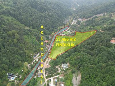 Arsa-Bağ & Bahçe