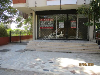 İşyeri-Dükkan & Mağaza