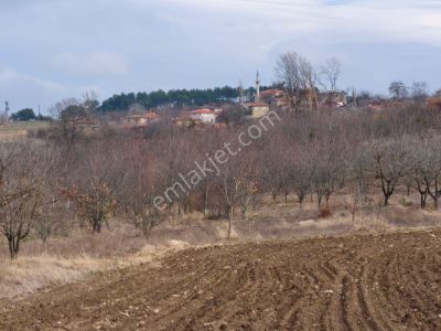 Arsa-Tarla