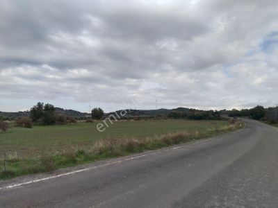 Arsa-Tarla