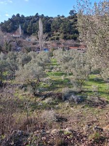 Arsa-Tarla