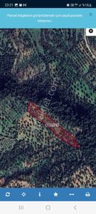 Arsa-Tarla
