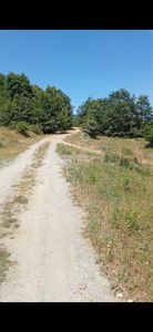 Arsa-Tarla