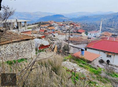 Arsa-Zeytinlik