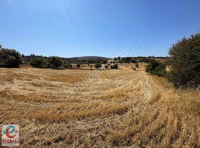 Arsa-Tarla