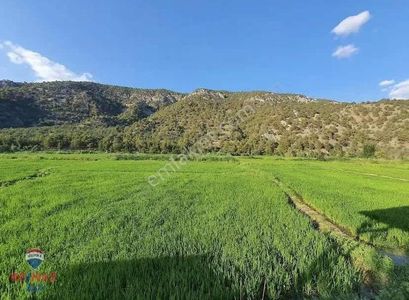 Arsa-Tarla