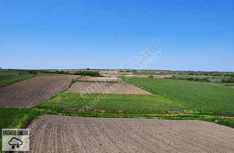 Arsa-Tarla