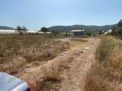 Arsa-Tarla