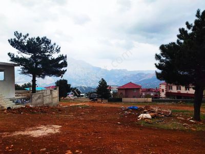 Arsa-Konut İmarlı