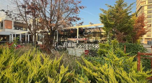 İşyeri-Kafe & Bar
