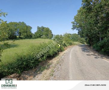 Arsa-Tarla