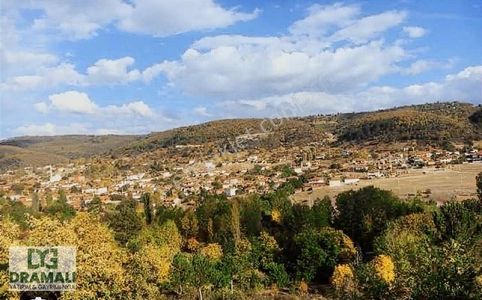 Arsa-Bağ & Bahçe