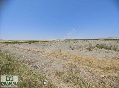 Arsa-Tarla