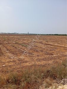 Arsa-Ticari İmarlı