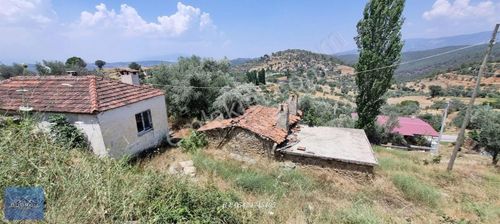 Arsa-Konut İmarlı