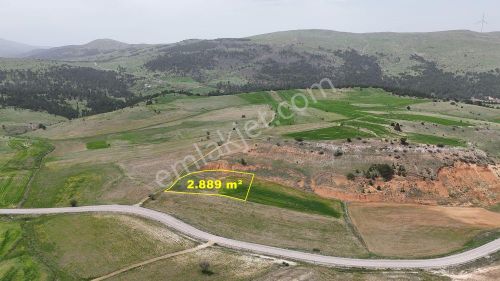 Arsa-Tarla
