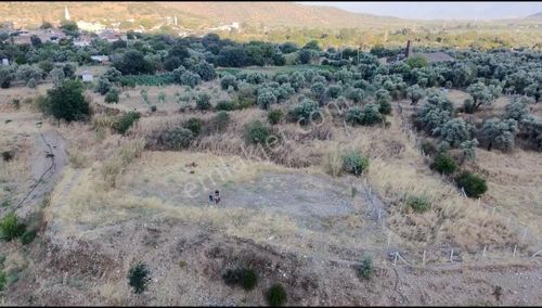 Arsa-Bağ & Bahçe