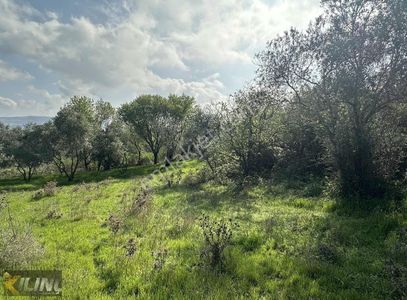 Arsa-Tarla