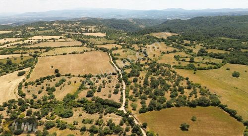 Arsa-Tarla