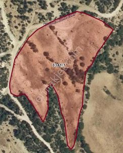 Arsa-Tarla