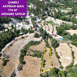Arsa-Arazi