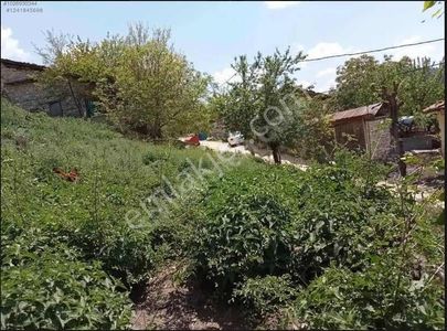 Arsa-Konut İmarlı