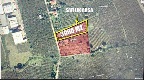 Arsa-Tarla