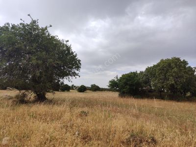 Arsa-Tarla