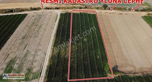 Arsa-Tarla