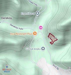Arsa-Zeytinlik