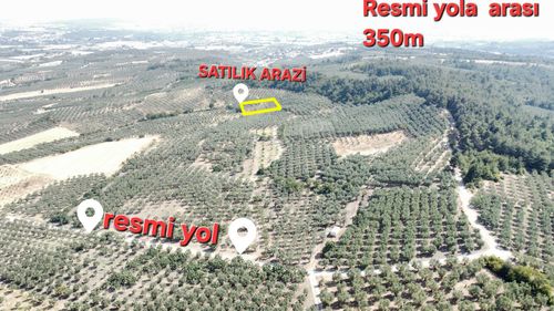 Arsa-Tarla